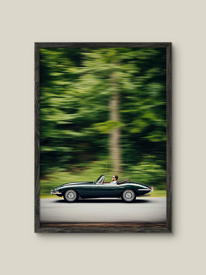 🎁 Elegance in Motion (100% off) Artelo