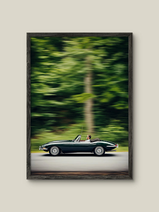 🎁 Elegance in Motion (100% off) Artelo