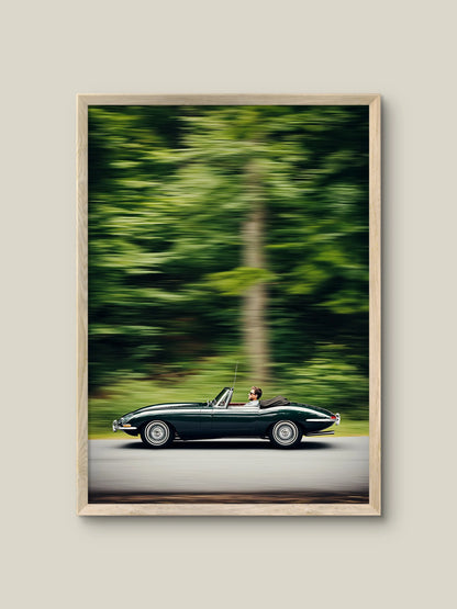 Elegance in Motion Artelo