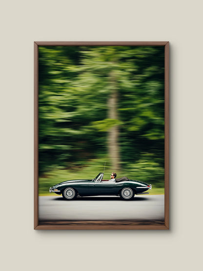 Elegance in Motion Artelo