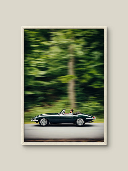 Elegance in Motion Artelo