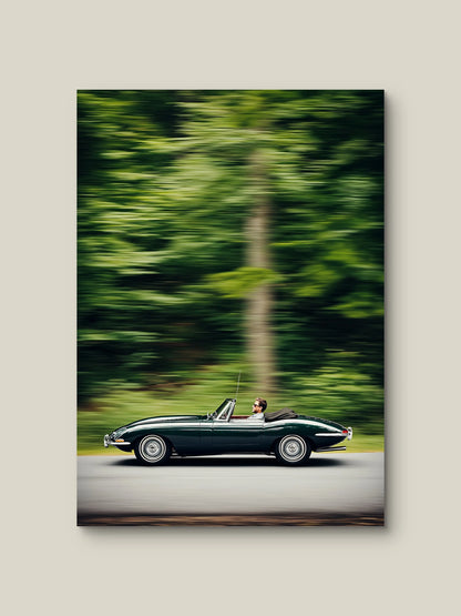 🎁 Elegance in Motion (100% off) Artelo